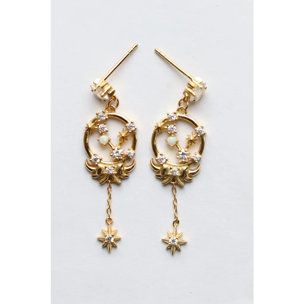 Horoscope Earrings - Earrings - 17