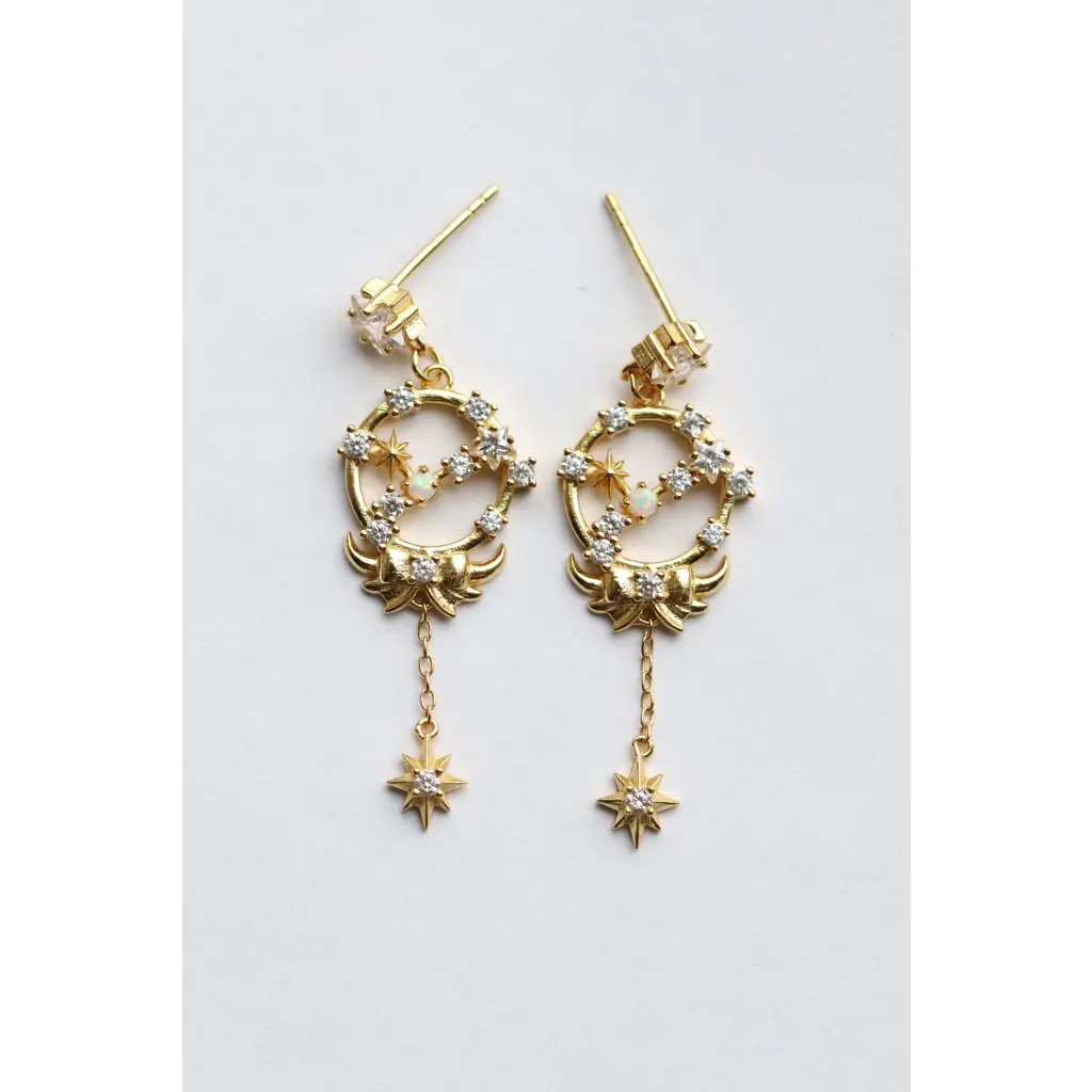 Horoscope Earrings - Earrings - 23