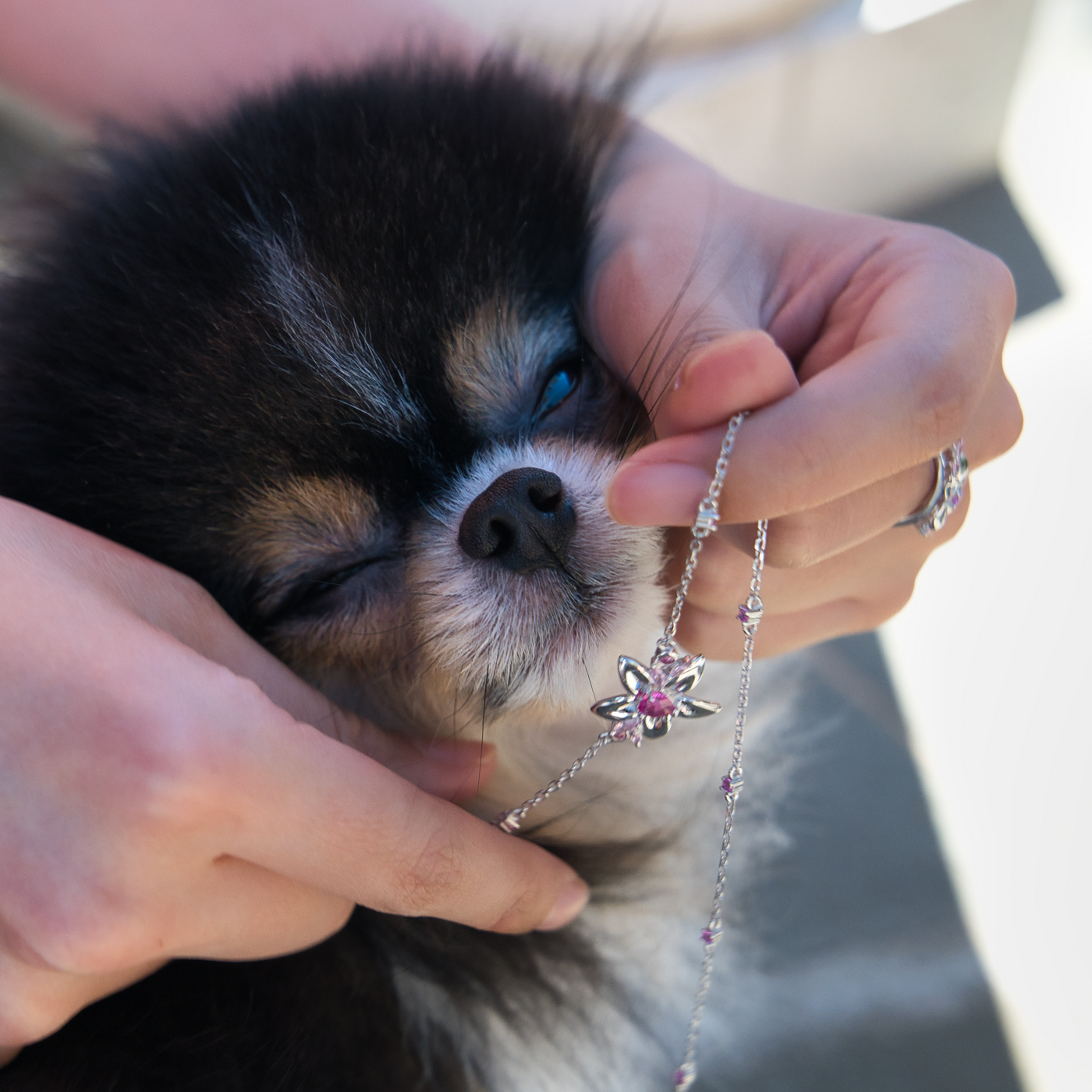 Lilypichu Necklace - Necklace - 3